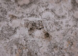 Dégradation par humidité avec moisissures blanches sur surface intérieure