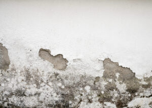 Mur dégradé par l’humidité et moisissures