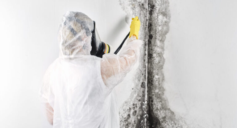 Traitement des murs humides